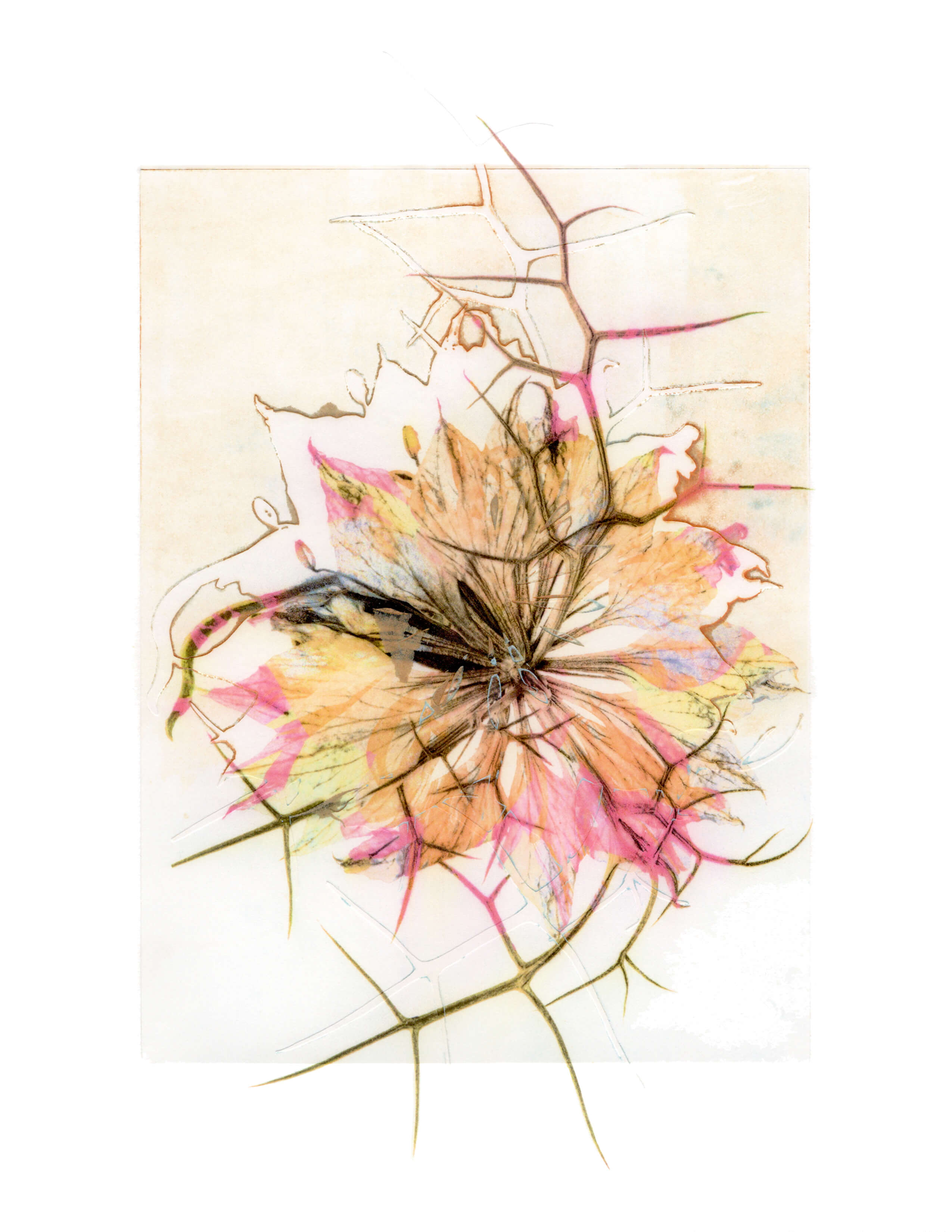 LY painter 2022 Waiting for Luv ED300-通販 価格