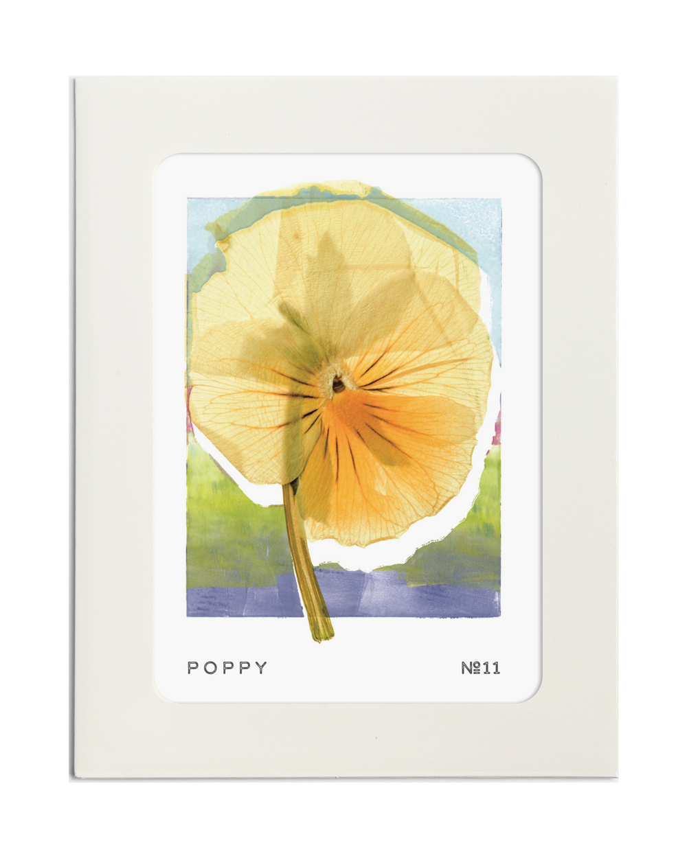 POPPY No.11 Card